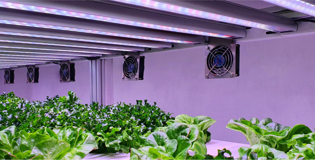 Smart Agriculture & Deep Learning